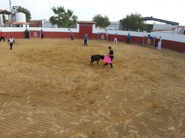  torosycapeas-toros-y-capeas.blogspot (2).jpg 